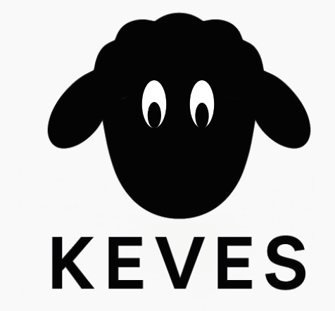 ערוץ היוטיוב של הכבש לייב